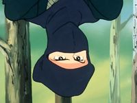 Expose the Secret of Tsukikagejoo