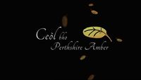 Ceòl Bho Perthshire Amber