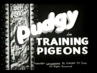 Training Pigeons
