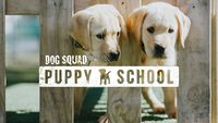 Dog Squad: Puppy School