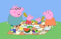 Picnic