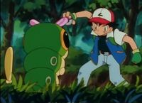 Ash Catches a Pokémon