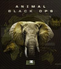 Animal Black Ops