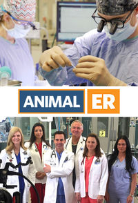 Animal ER