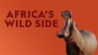 Africa's Wild Side