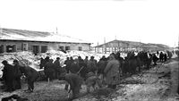 Gulag - Die sowjetische Hauptverwaltung der Lager