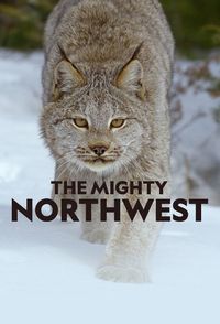 The Mighty Northwest