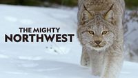 The Mighty Northwest