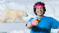The Arctic