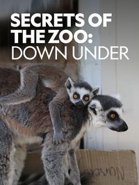 Taronga: Who's Who in the Zoo?