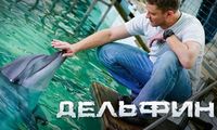 Дельфин