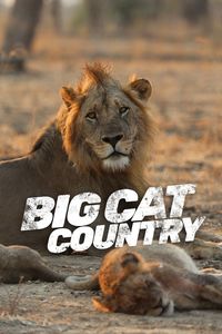 Big Cat Country