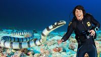 Andy and the Sea Kraits
