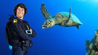 Andy and the Hawksbill Turtles