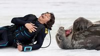 Andy and the Weddell Seals