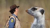 Andy and the Meerkats