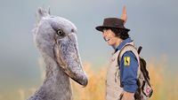 Andy and the Shoebill Chick