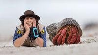 Andy and the Hermit Crab