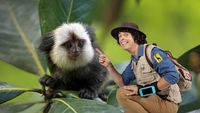 Andy and the Marmosets