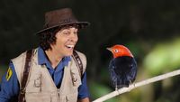 Andy and the Manakin