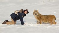Andy and the Bobcat