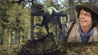 Epidexipteryx and Tail Feather