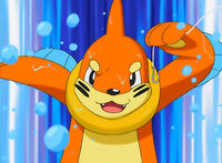 Buizel Your Way Out of This!