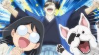 Puppies of War