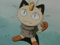 Go West Young Meowth