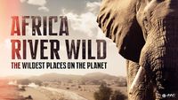 Africa River Wild