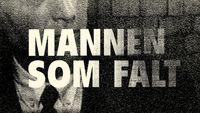 Mannen som falt