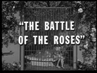 The Battle of the Roses