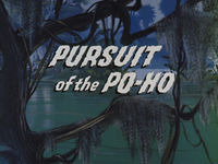 Pursuit of the Po-Ho