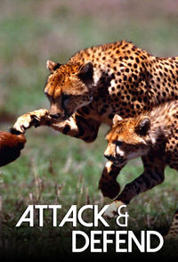 Attack and Defend