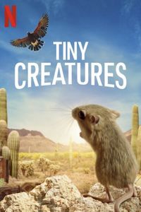 Tiny Creatures