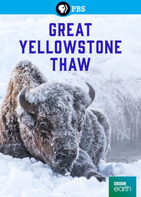Great Yellowstone Thaw