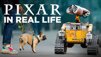 Pixar in Real Life
