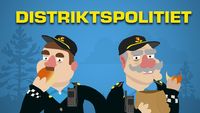 Distriktspolitiet