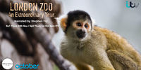 London Zoo: An Extraordinary Year