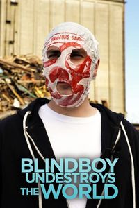 Blindboy Undestroys the World