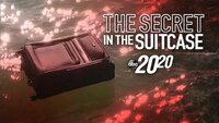 The Secret in the Suitcase