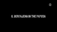 Berenjena in the papusa