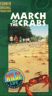 Wild Life Adventures