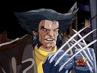 Wolverine (Earth 31393)