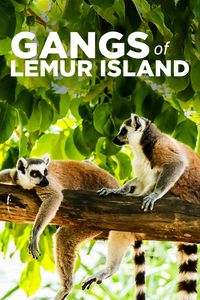 Gangs of Lemur Island