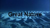 Great Nature