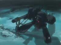 Scars in the Wasteland