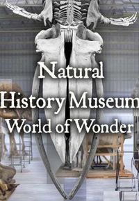 Natural History Museum: World of Wonder