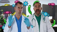 Bacteria