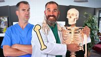 Bones